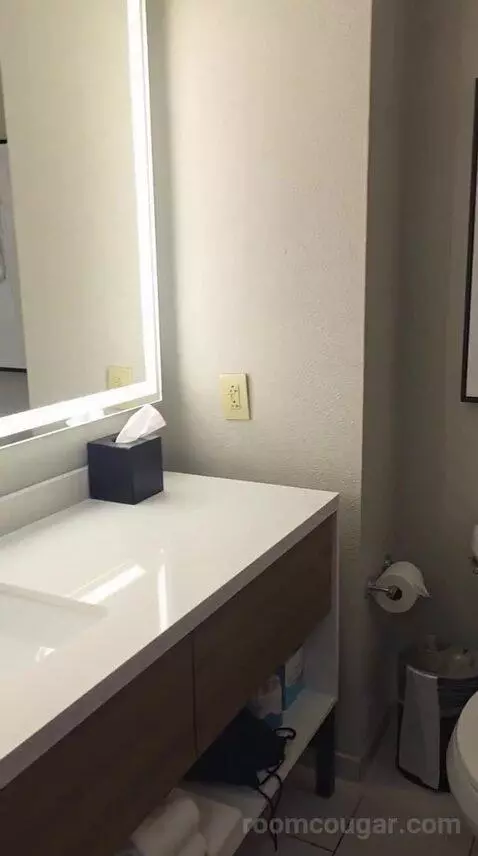 Premium King Suite (#615) bathroom picture #7