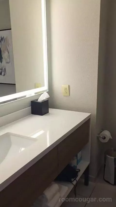 Premium King Suite (#615) bathroom picture #8
