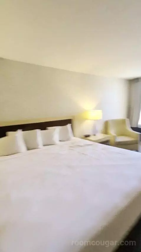 Deluxe Room bed picture #2