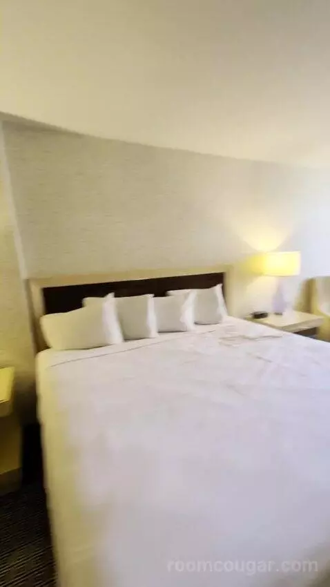 Deluxe Room bed picture #3