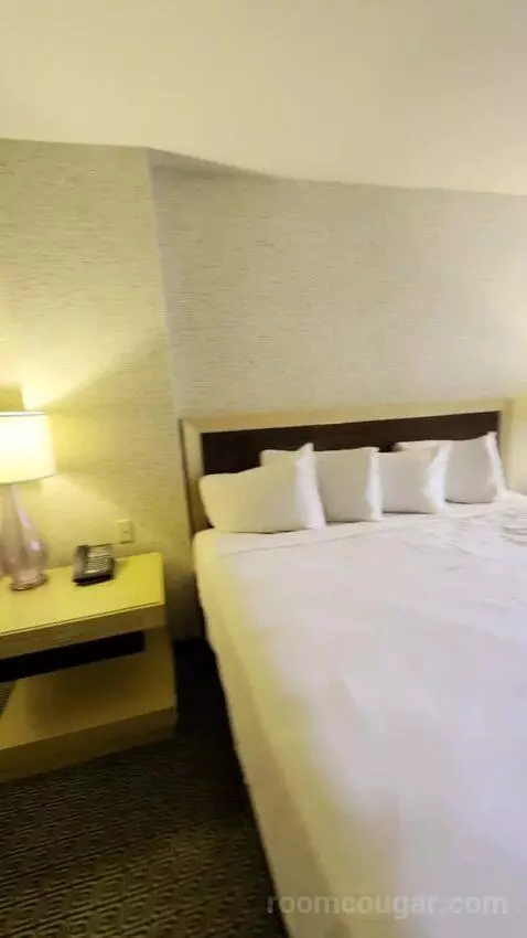 Deluxe Room bed picture #5