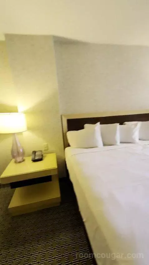Deluxe Room bed picture #6