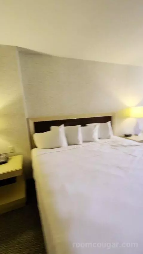 Deluxe Room picture #11