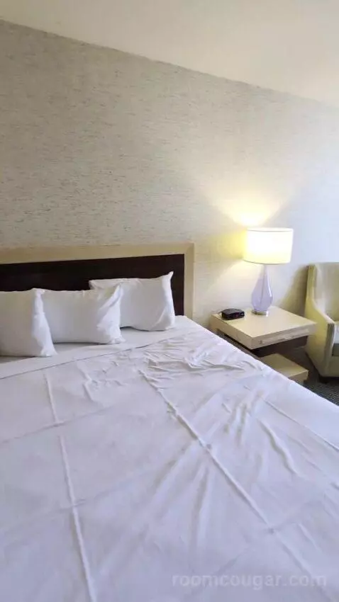 Deluxe Room bed picture #8