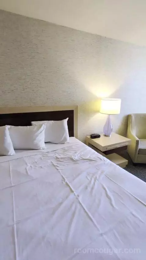Deluxe Room bed picture #9