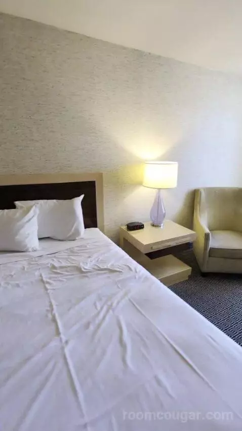 Deluxe Room bed picture #11