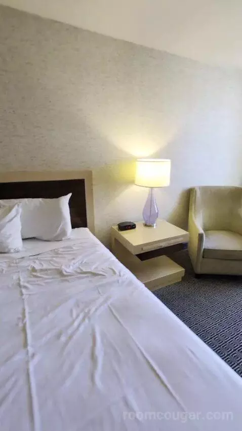 Deluxe Room bed picture #12