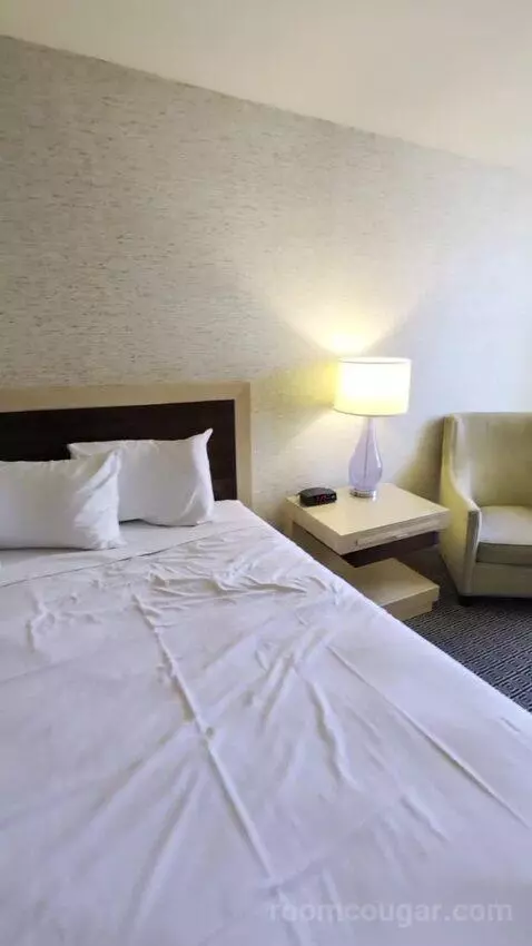 Deluxe Room picture #13