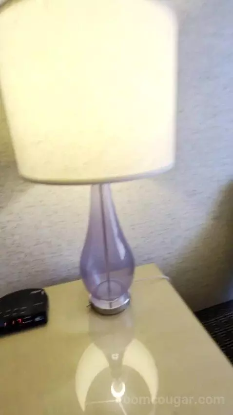 Deluxe Room picture #15