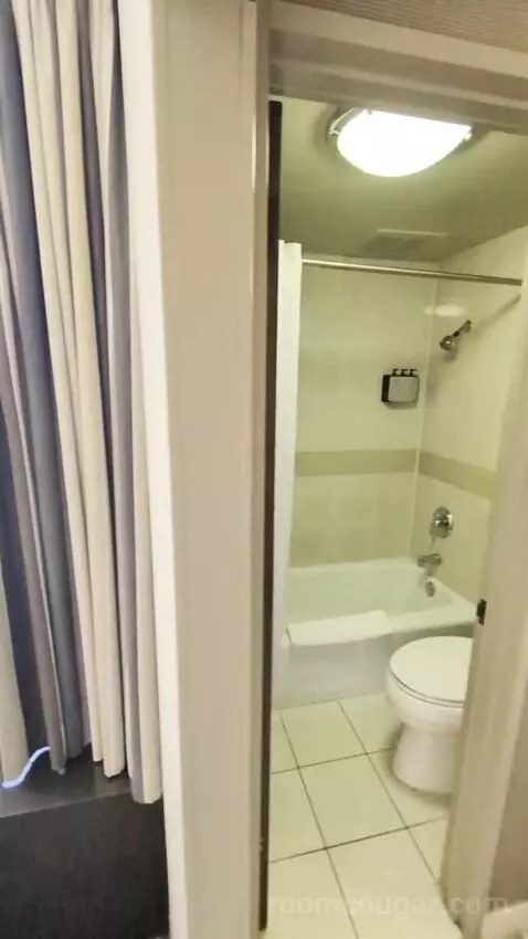 Deluxe Room bathroom picture #1