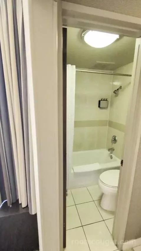 Deluxe Room picture #18
