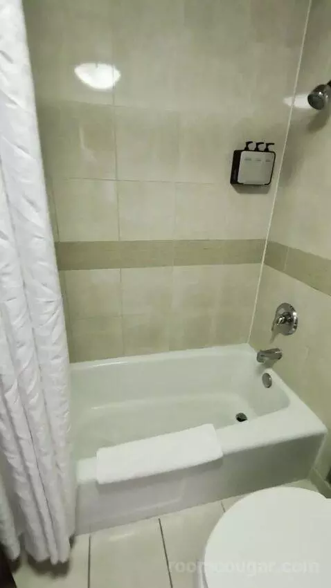 Deluxe Room bathroom picture #7