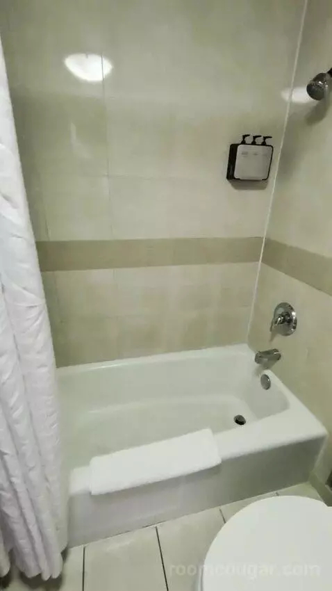 Deluxe Room picture #21