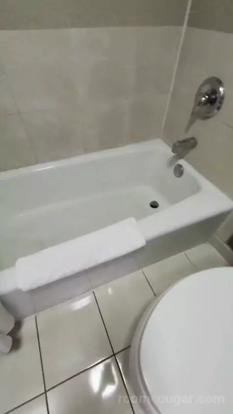 Deluxe Room bathroom picture #9