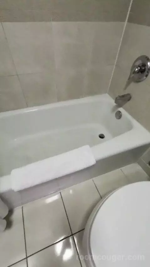 Deluxe Room bathroom picture #10