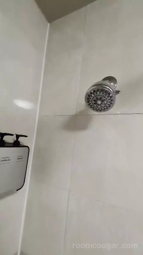 Deluxe Room bathroom picture #11