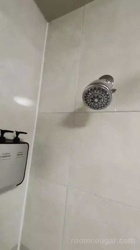 Deluxe Room bathroom picture #12