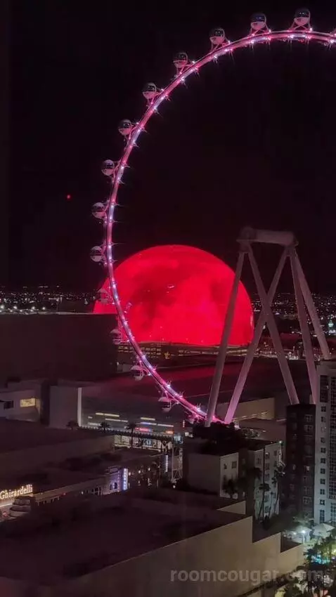 Go Room 2 Queens Attraction View picture #17