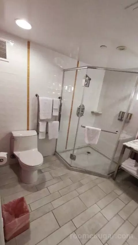 Go Room 2 Queens Attraction View bathroom picture #12