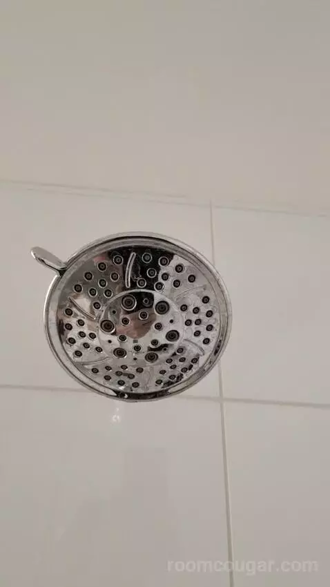 Grand Two Queen picture #23