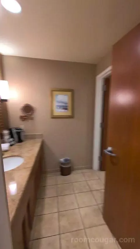 Standard King Room bathroom picture #1
