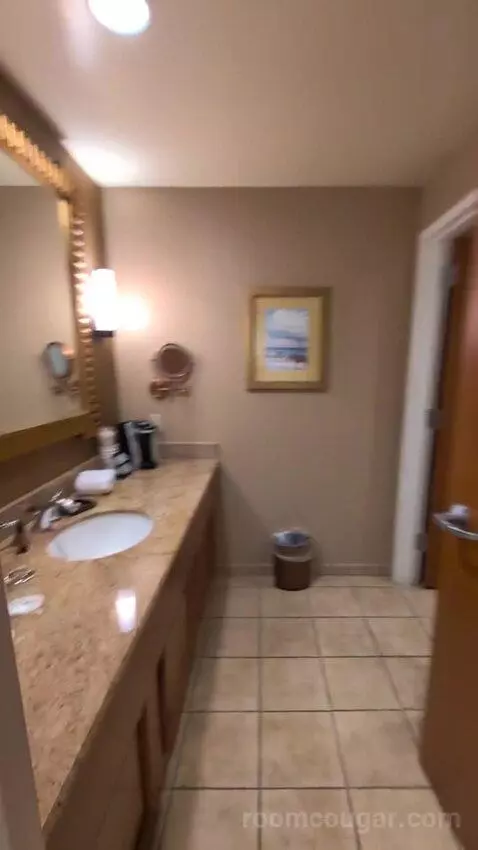 Standard King Room picture #18