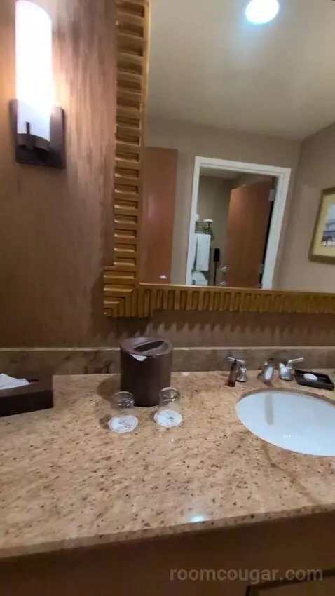 Standard King Room bathroom picture #3