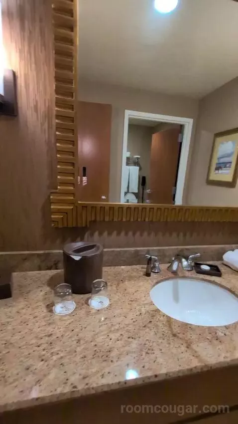 Standard King Room bathroom picture #4