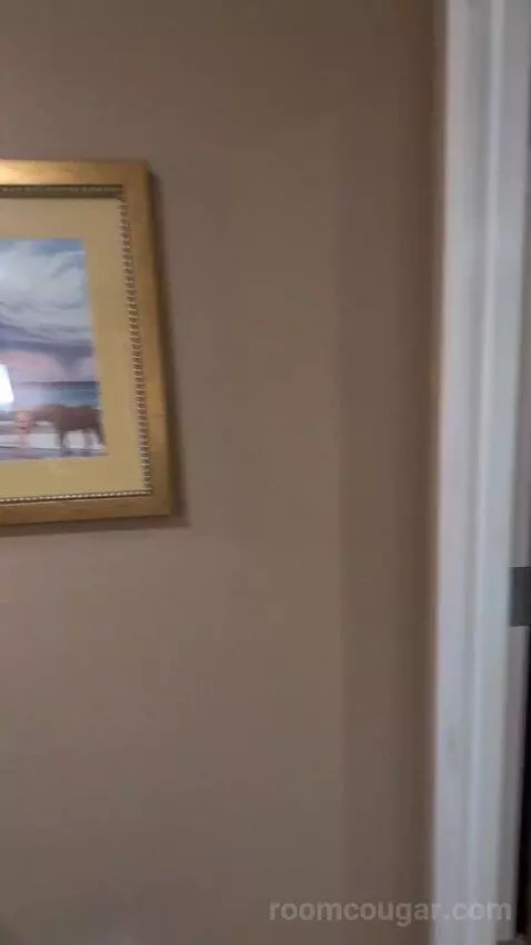 Standard King Room picture #20