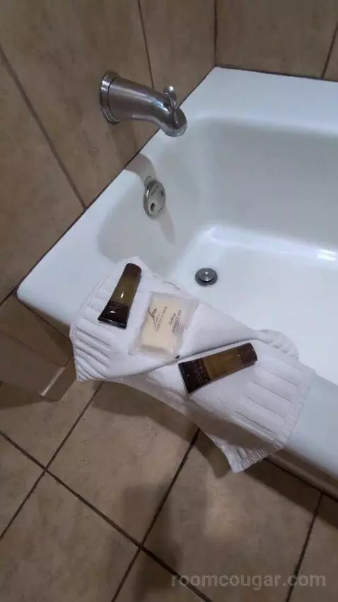 Standard King Room bathroom picture #7