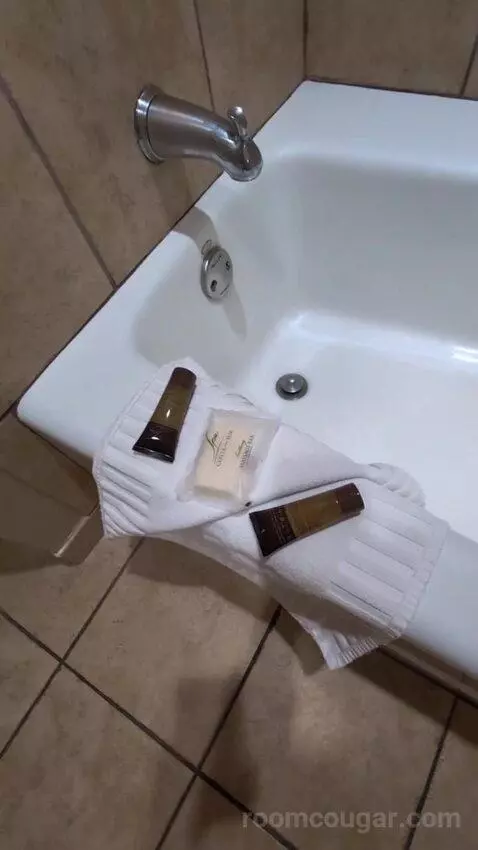 Standard King Room bathroom picture #8