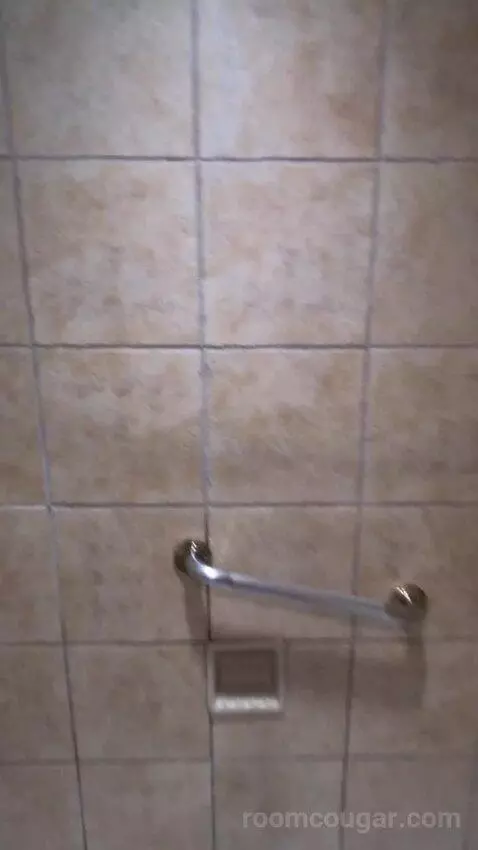 Standard King Room bathroom picture #11