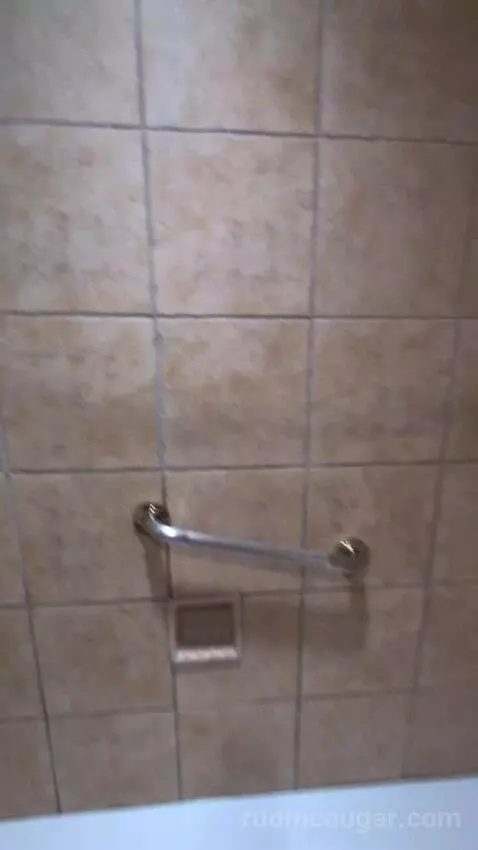Standard King Room bathroom picture #12
