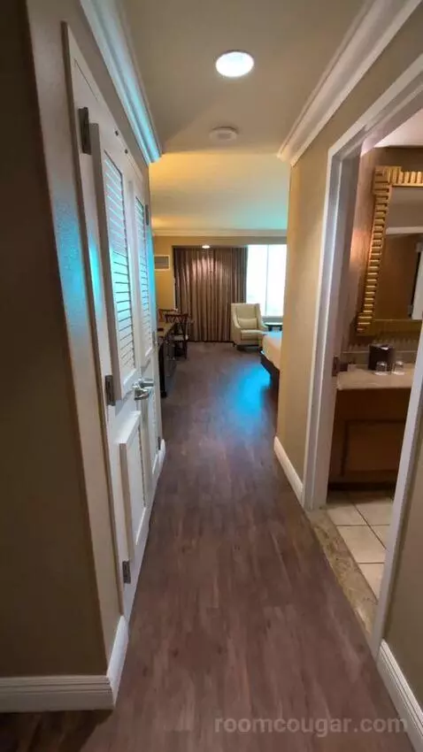 Standard King Room picture #4