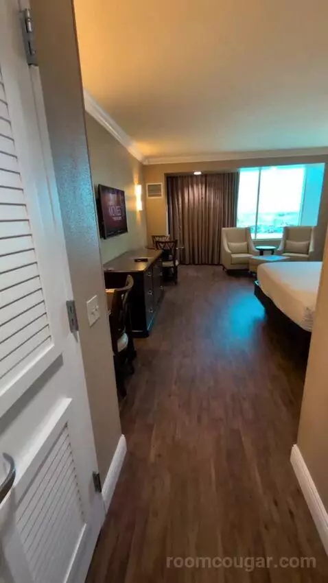Standard King Room picture #5