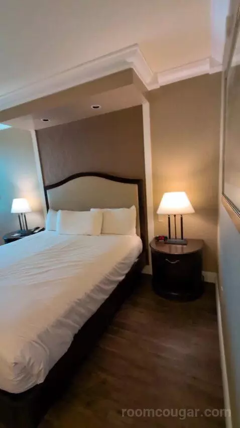 Standard King Room bed picture #1