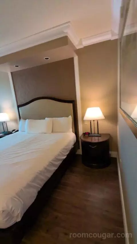 Standard King Room bed picture #2