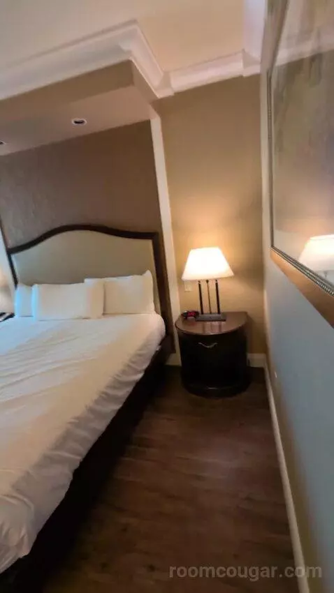 Standard King Room bed picture #4