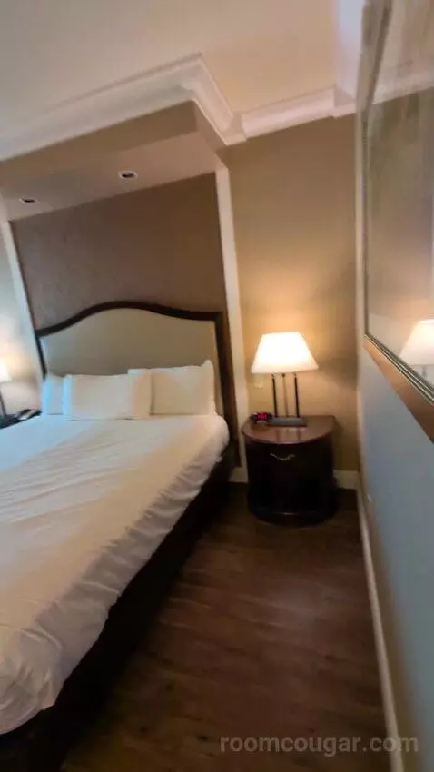 Standard King Room picture #7