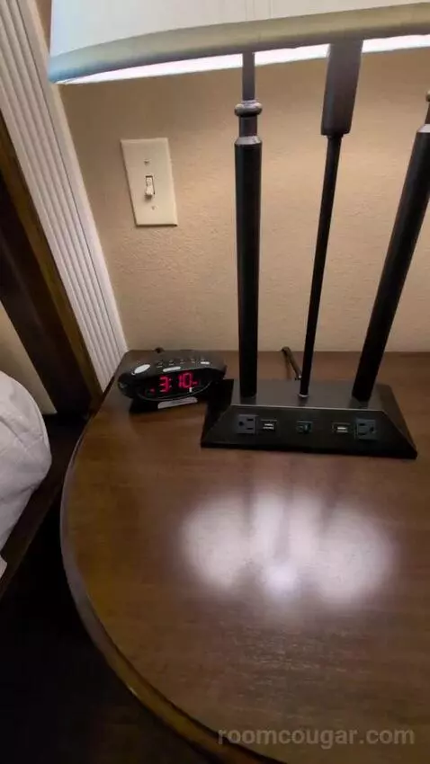 Standard King Room picture #8