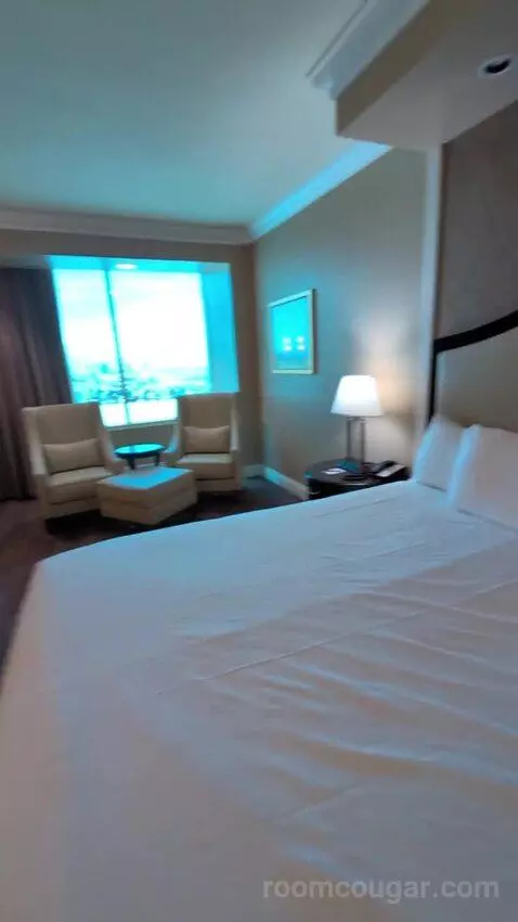 Standard King Room bed picture #5