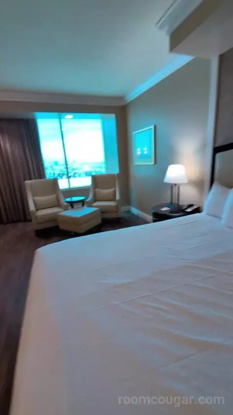 Standard King Room bed picture #6