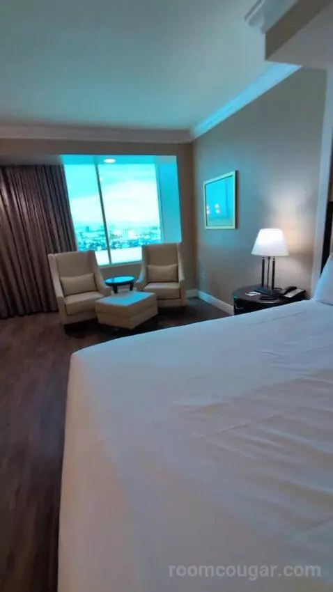 Standard King Room picture #9