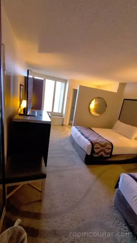Deluxe King bed picture #1