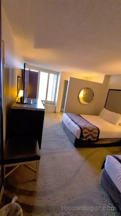 Deluxe King bed picture #2