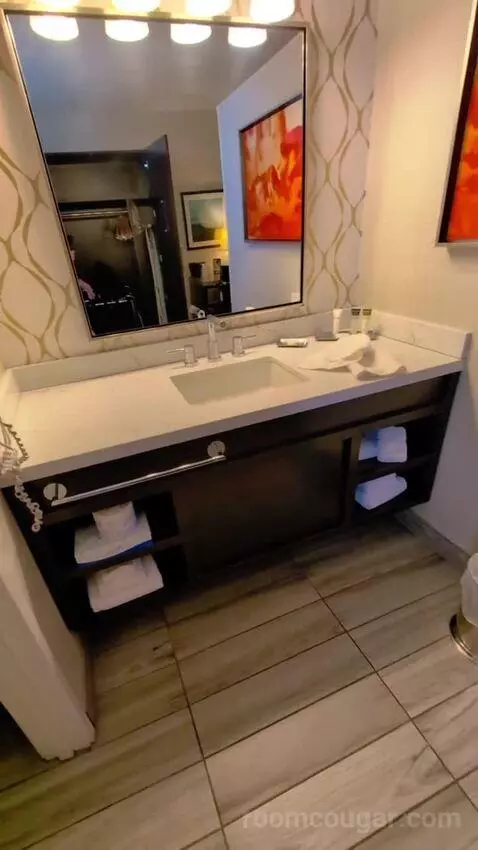Deluxe King bathroom picture #1