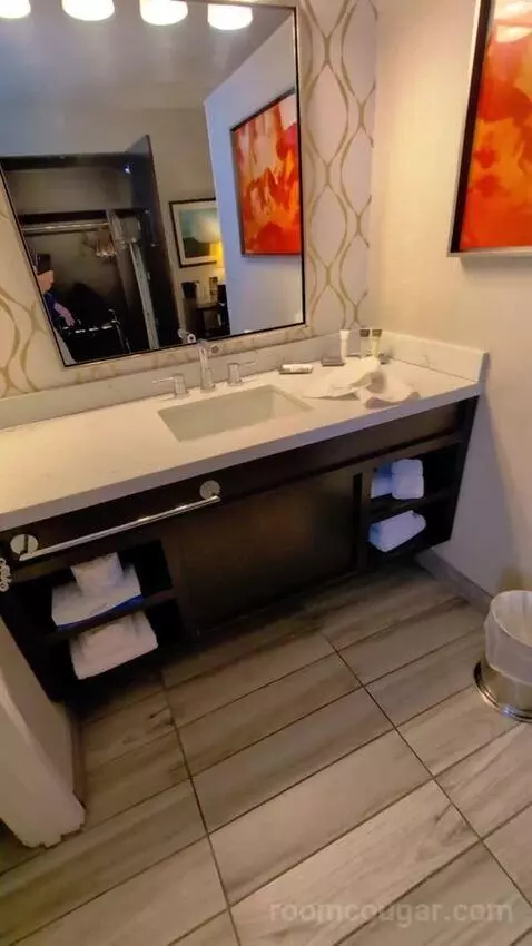 Deluxe King bathroom picture #3