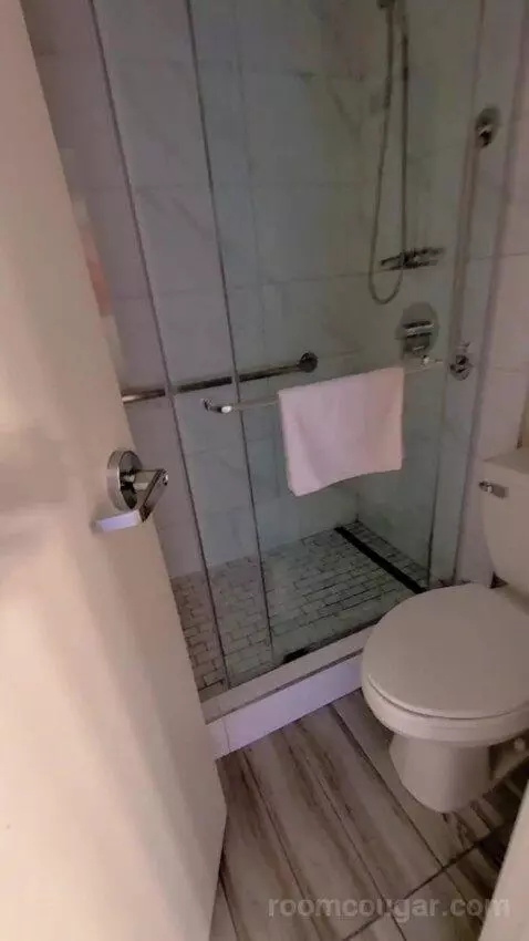 Deluxe King bathroom picture #4