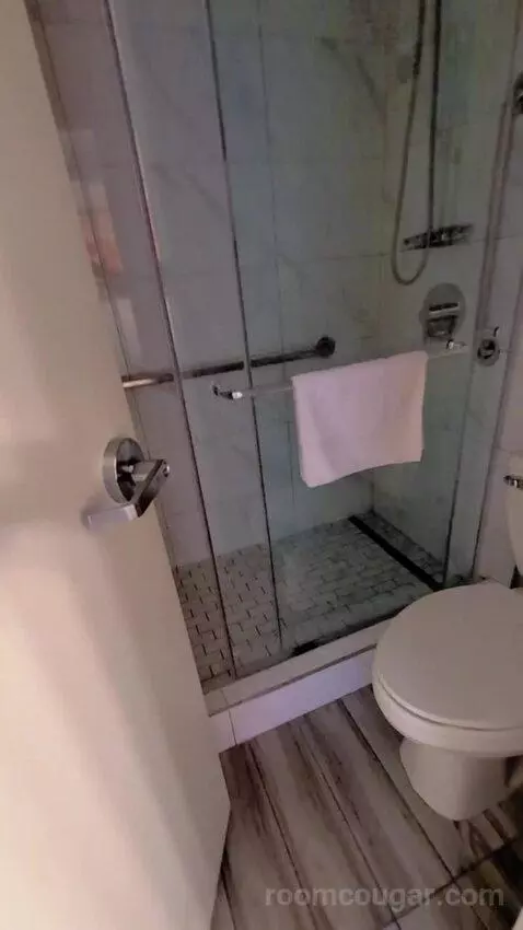 Deluxe King bathroom picture #5