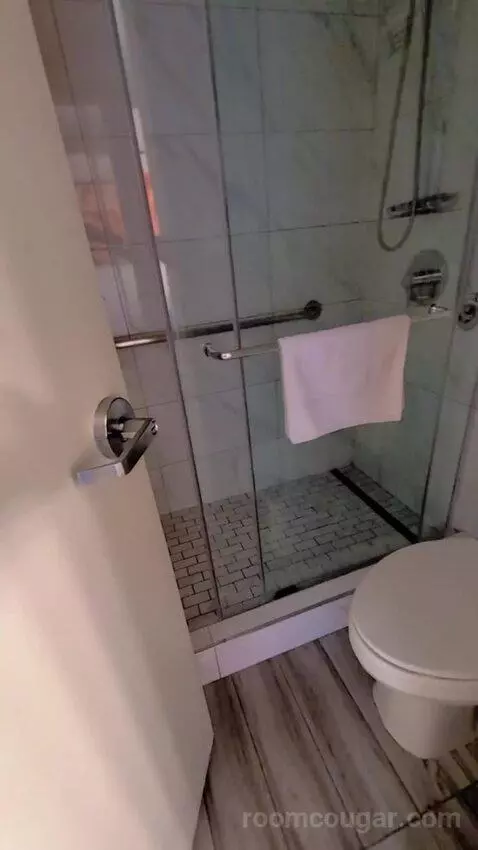 Deluxe King bathroom picture #6